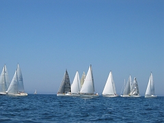la solitaire 096